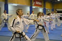 GM_Hwang_Seminar_2016_013