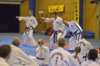 GM_Hwang_Seminar_2016_025