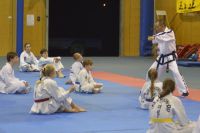 GM_Hwang_Seminar_2016_028