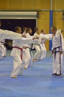 GM_Hwang_Seminar_2016_029