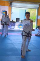 GM_Hwang_Seminar_2016_042