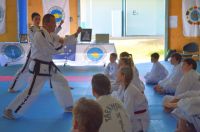 GM_Hwang_Seminar_2016_045