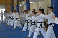 GM_Hwang_Seminar_2016_075