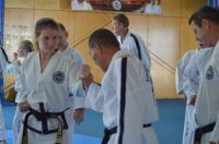 GM_Hwang_Seminar_2016_085