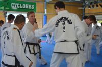 GM_Hwang_Seminar_2016_086