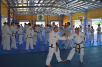 GM_Hwang_Seminar_2016_088