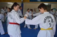 GM_Hwang_Seminar_2016_092