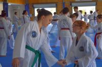 GM_Hwang_Seminar_2016_093