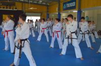 GM_Hwang_Seminar_2016_108