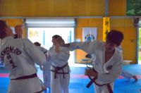 GM_Hwang_Seminar_2016_125