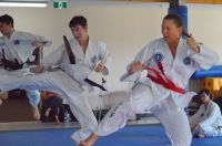 GM_Hwang_Seminar_2016_155