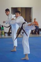 GM_Hwang_Seminar_2016_156