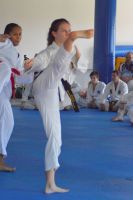 GM_Hwang_Seminar_2016_163