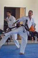 GM_Hwang_Seminar_2016_164