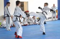 GM_Hwang_Seminar_2016_189