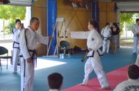 GM_Hwang_Seminar_2016_213