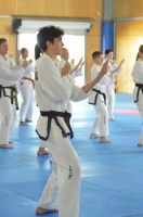 GM_Hwang_Seminar_2016_221