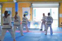 GM_Hwang_Seminar_2016_228