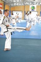 GM_Hwang_Seminar_2016_229