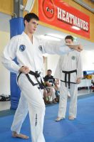 GM_Hwang_Seminar_2016_245