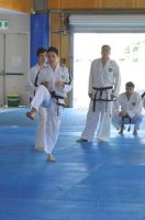 GM_Hwang_Seminar_2016_251