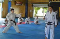 GM_Hwang_Seminar_2016_255